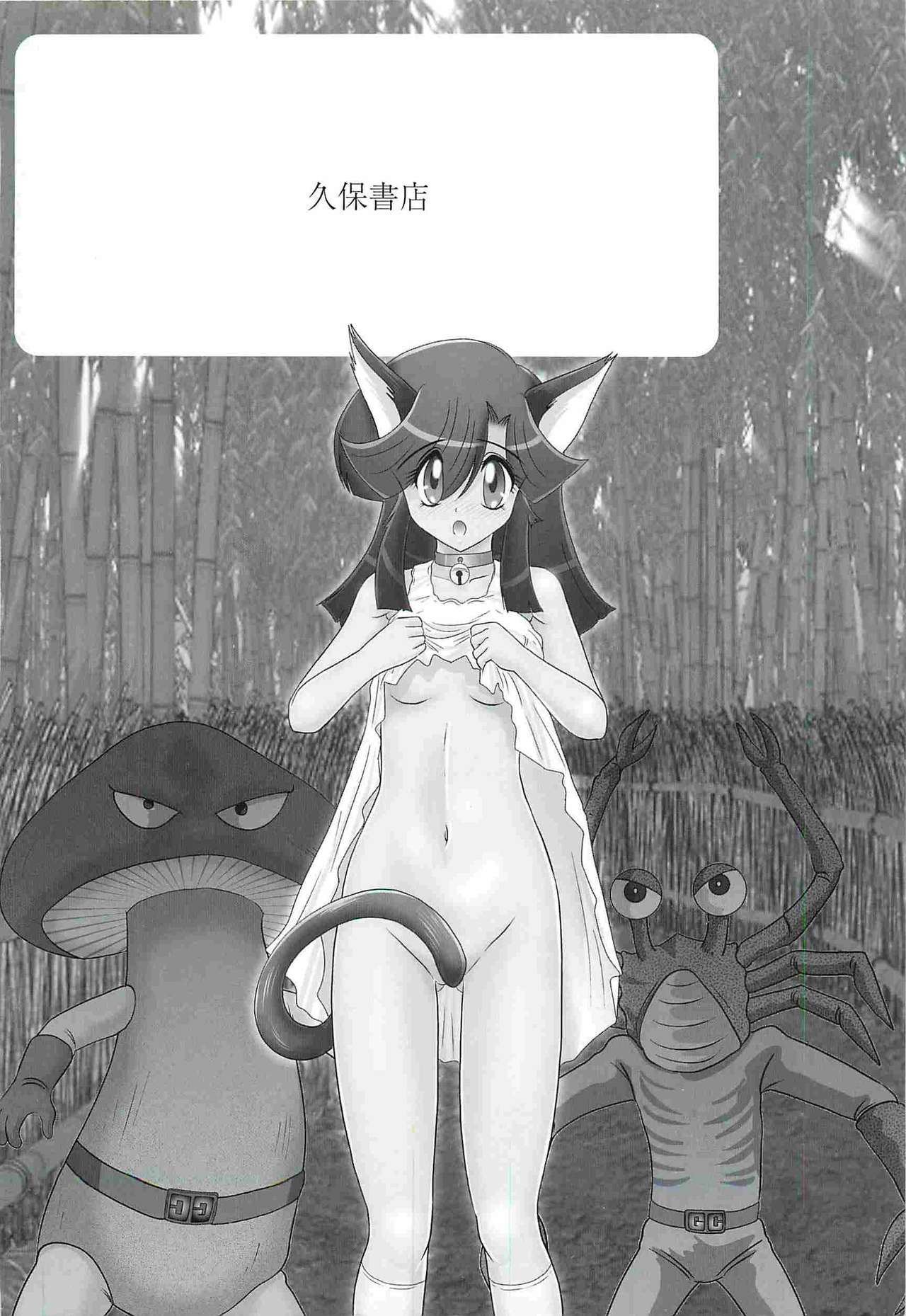 Seirei Tokusou Fairy Saber W - Shojo Kari page 4 full