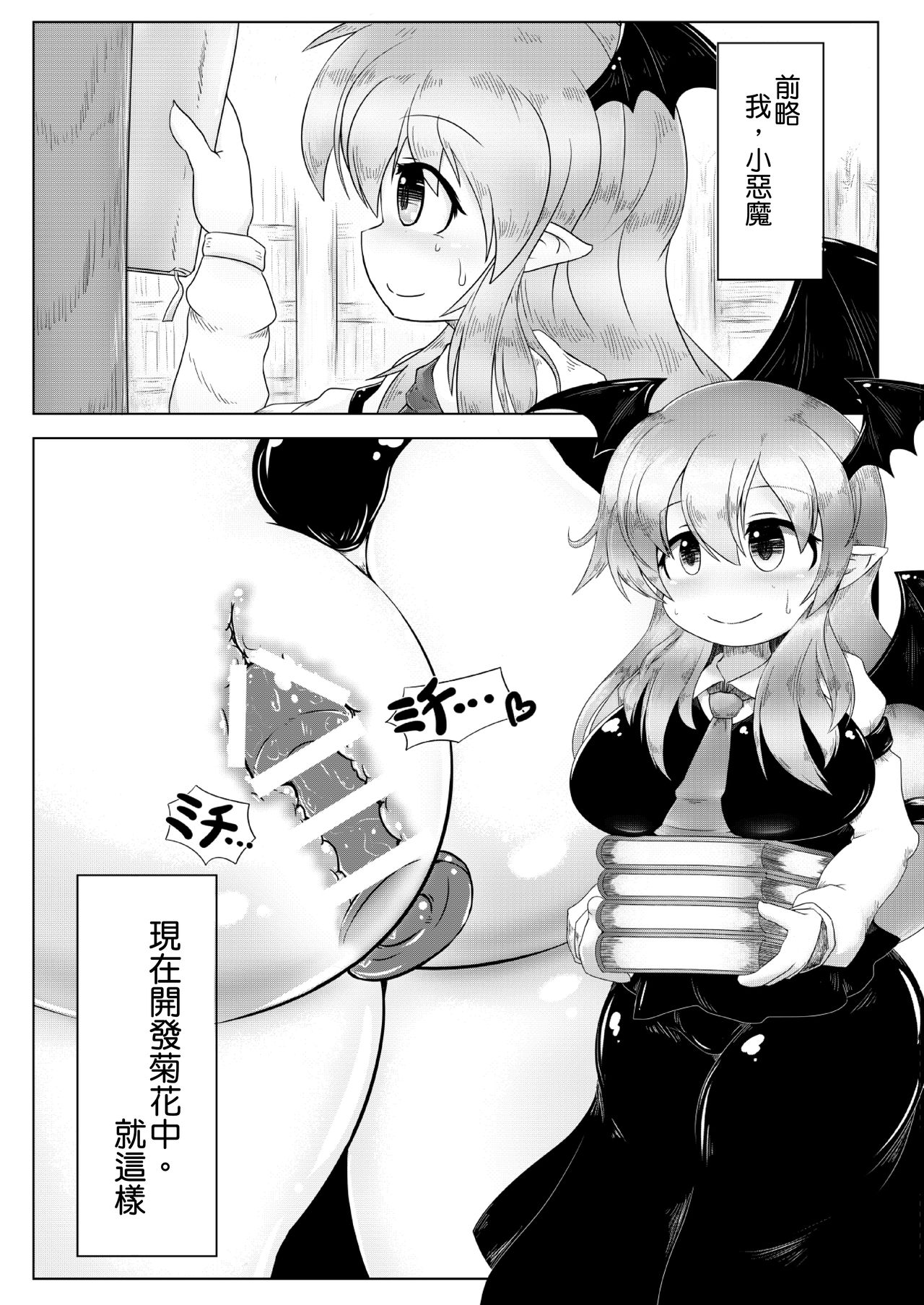 Kyokina ana no Koakuma-san | 巨大穴的小恶魔桑 page 4 full