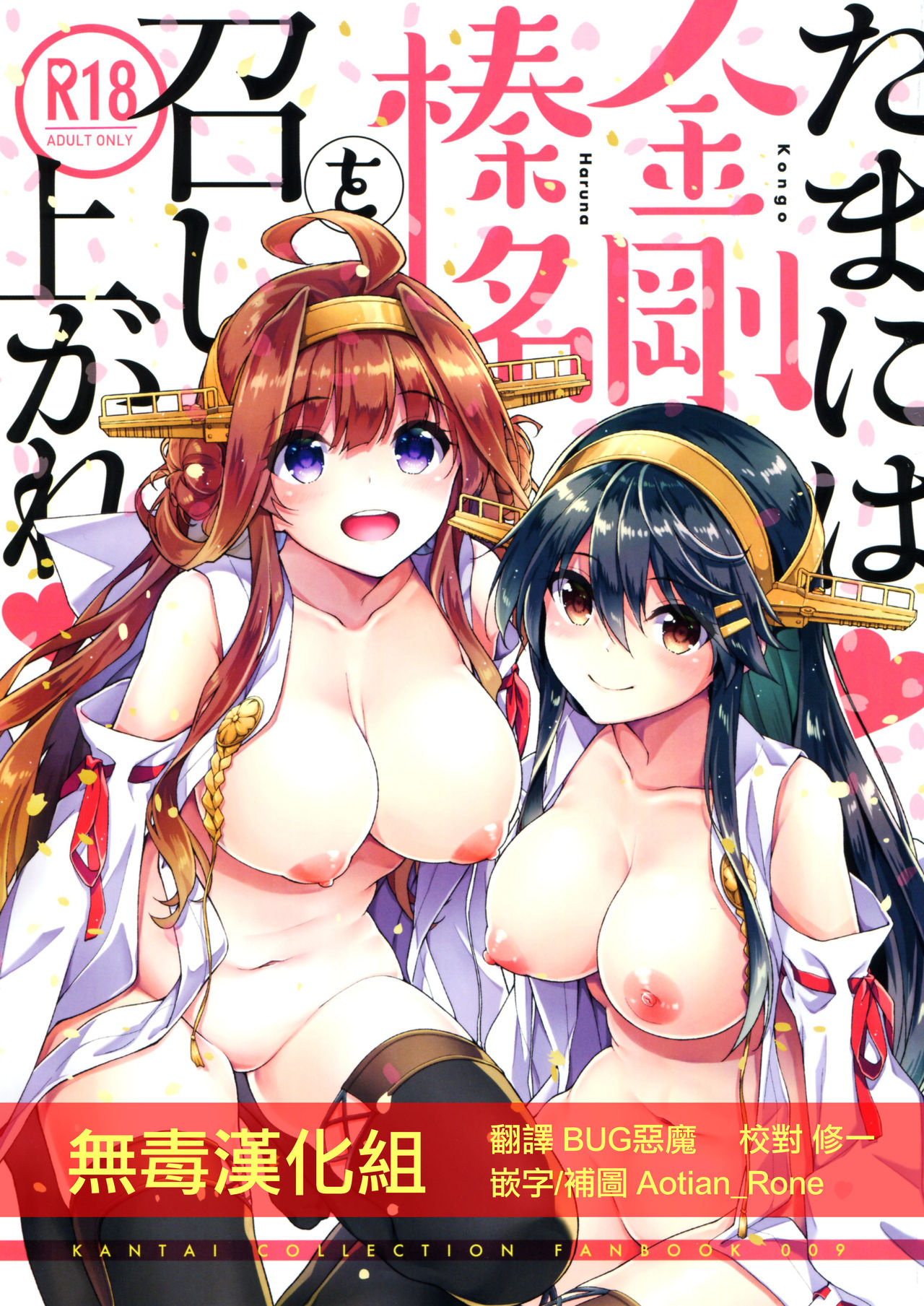 Tama ni wa Kongou Haruna o Meshiagare page 1 full