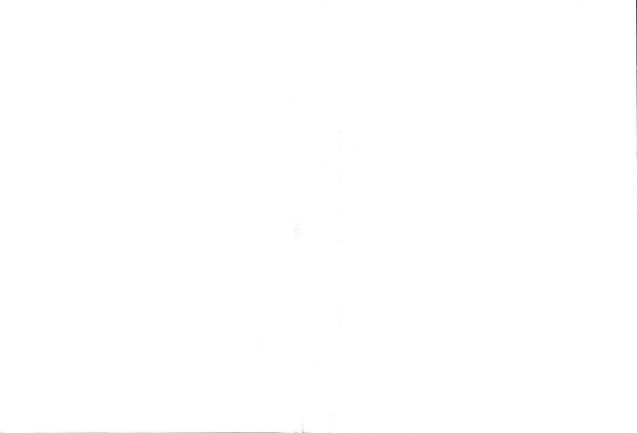 twin Milf 2 page 5 full