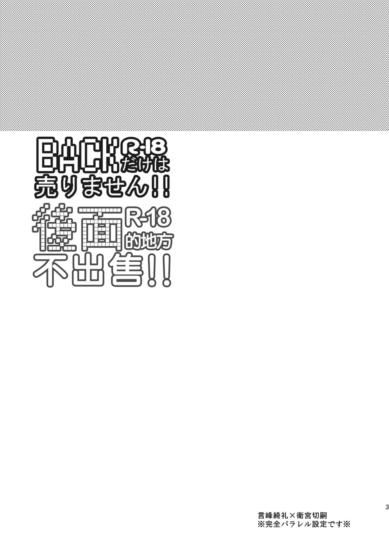 BACK Dake wa Urimasen!! | 後面地方不出售!! page 3 full