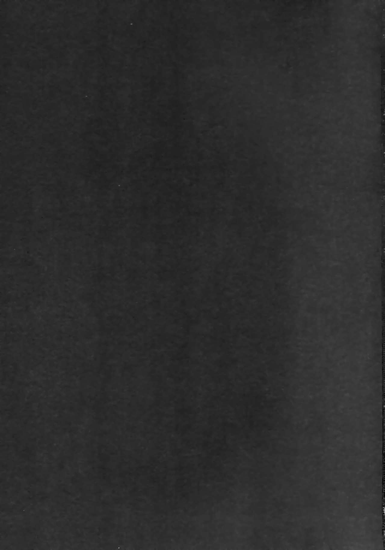 Reiju o Motte Hoshi 4 Servant to Ecchi Shitai page 3 full