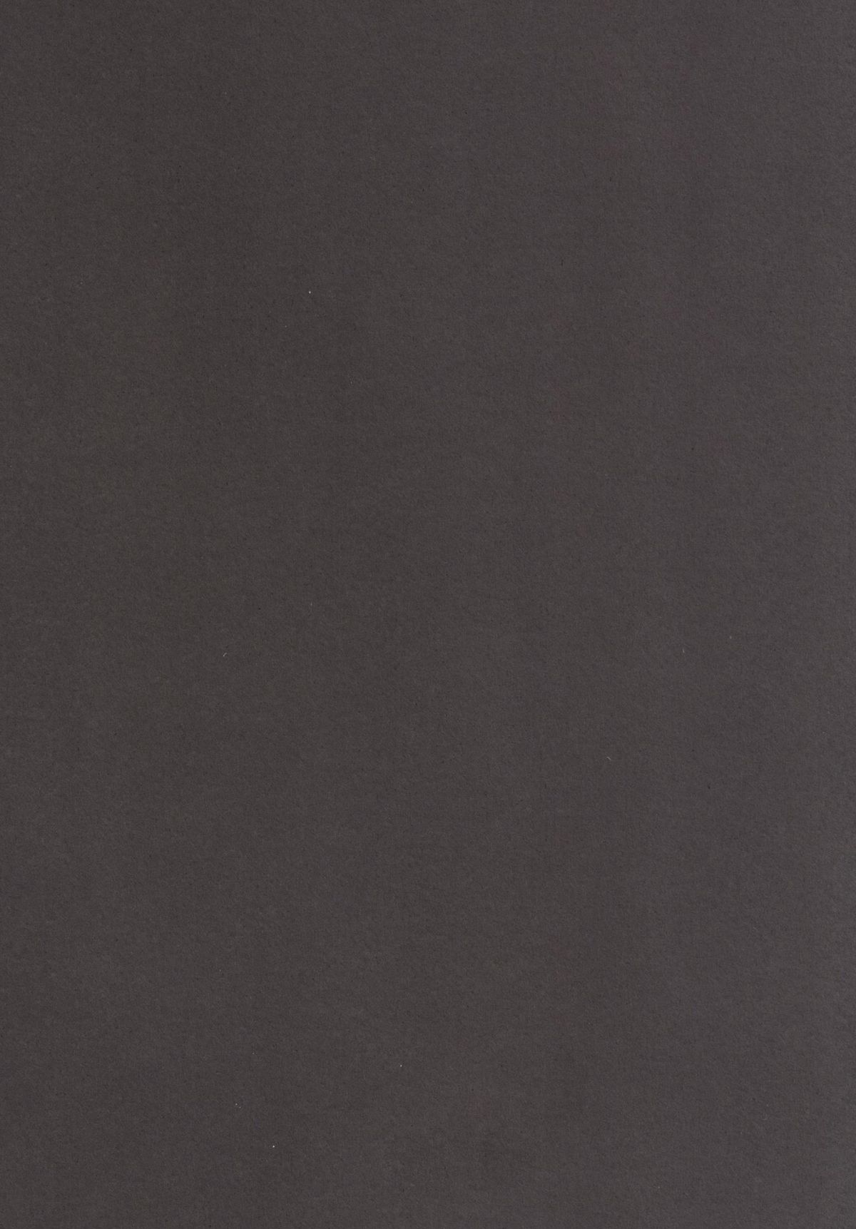 Gensou Kinjuuen 2 page 4 full