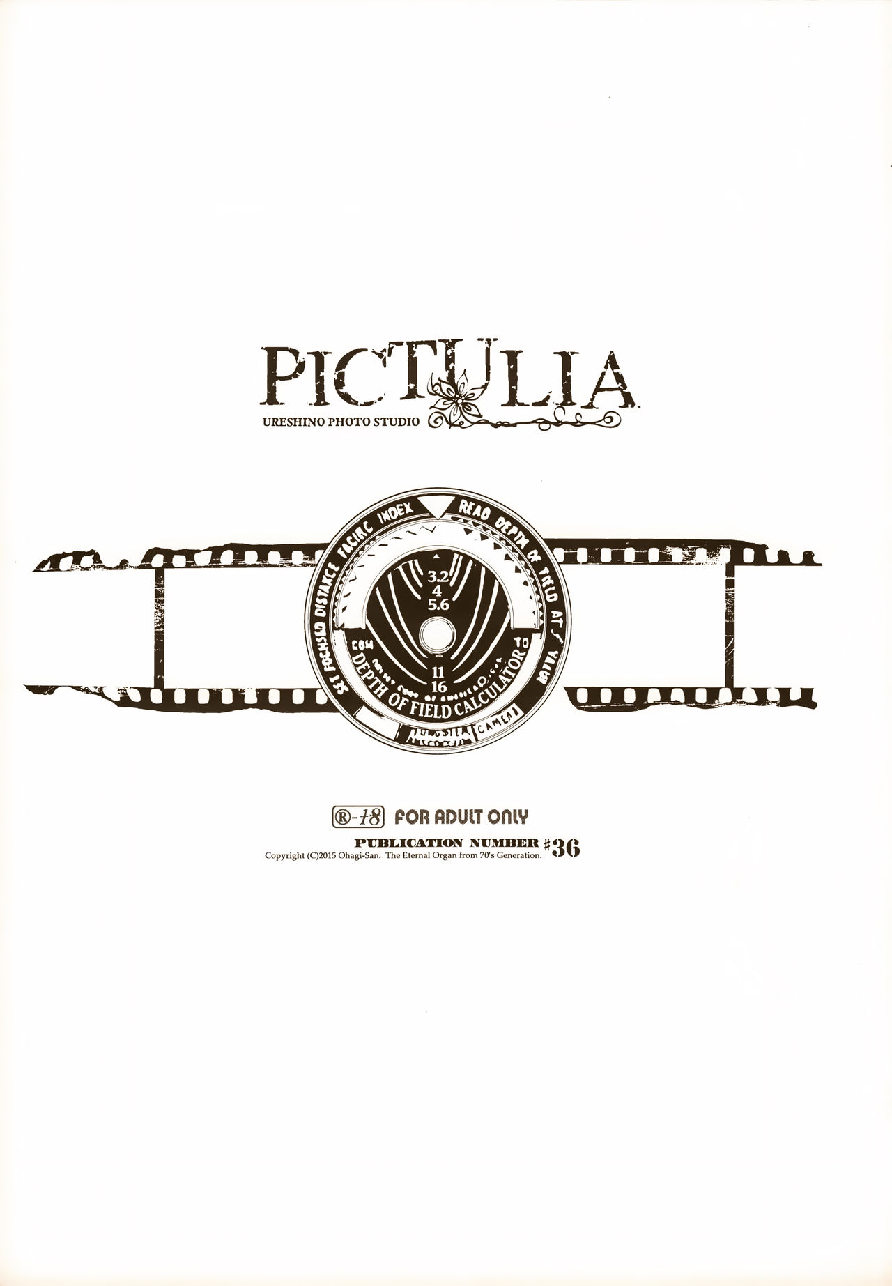 pictulia page 5 full