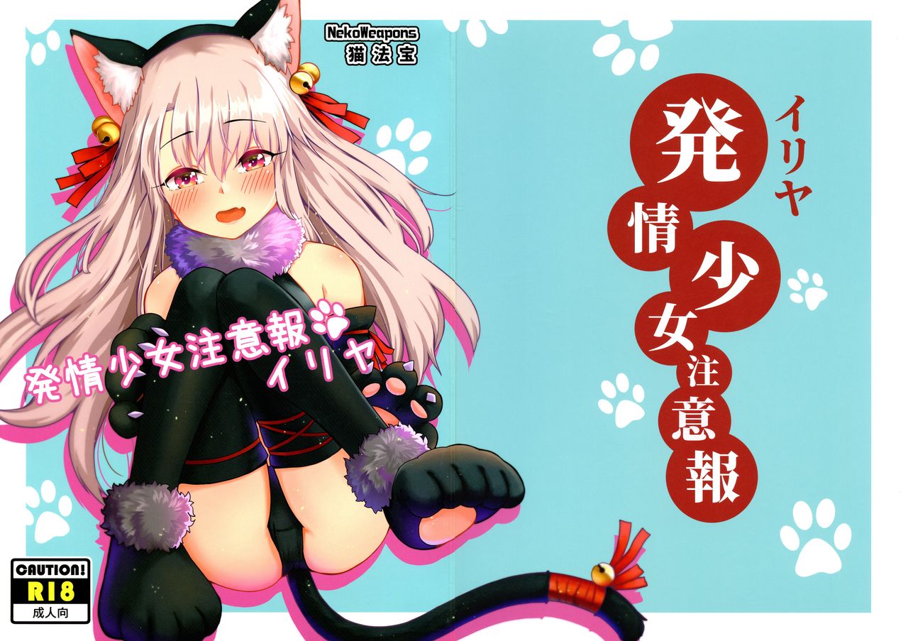 Hatsujou Shoujo Chuuihou Illya page 2 full