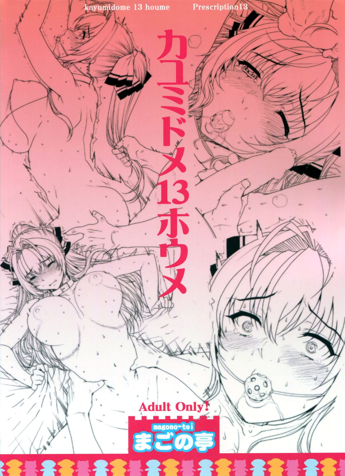 Kayumidome 13 Houme page 3 full