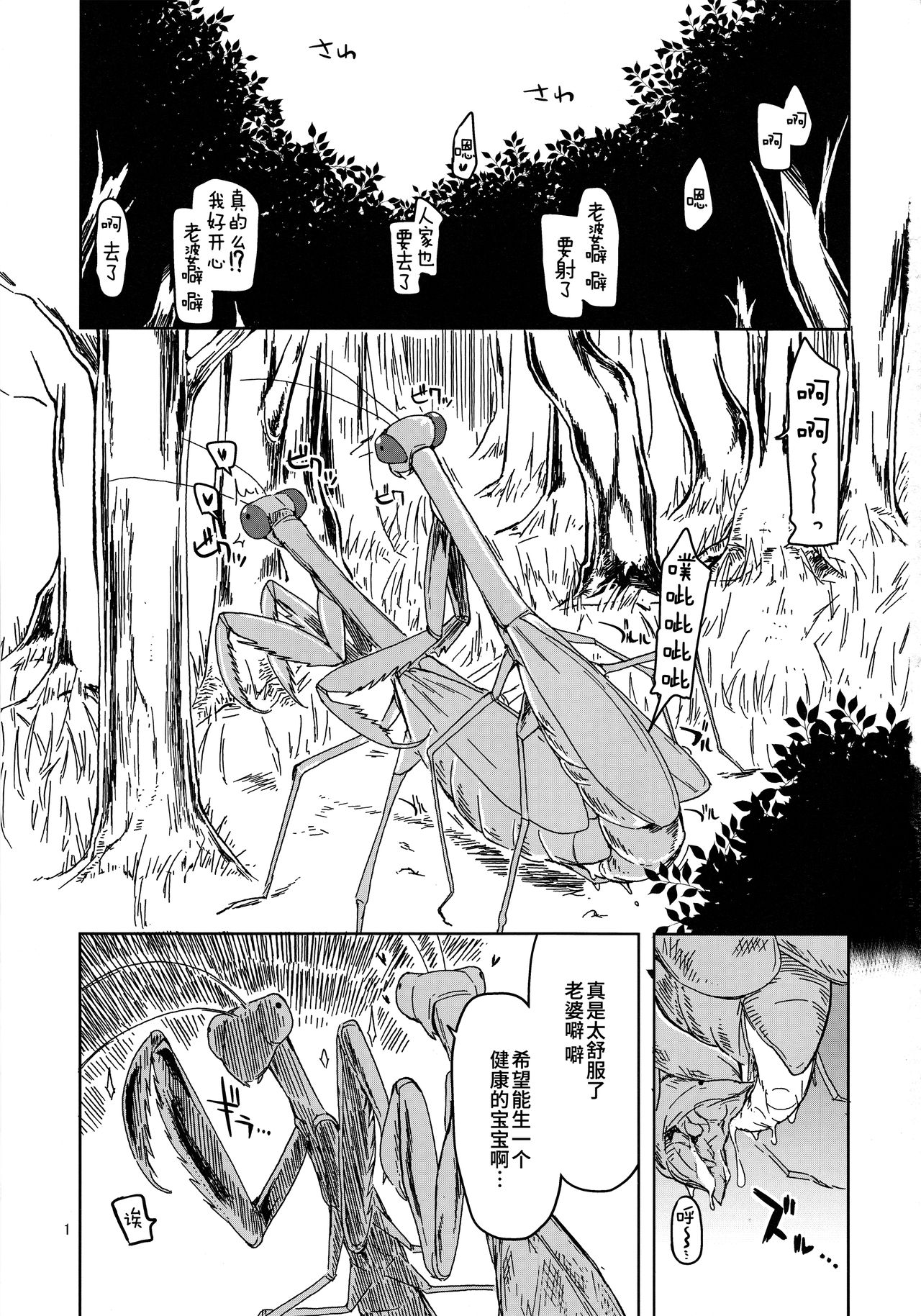 Dosukebe Elf no Ishukan Nikki 5 page 2 full