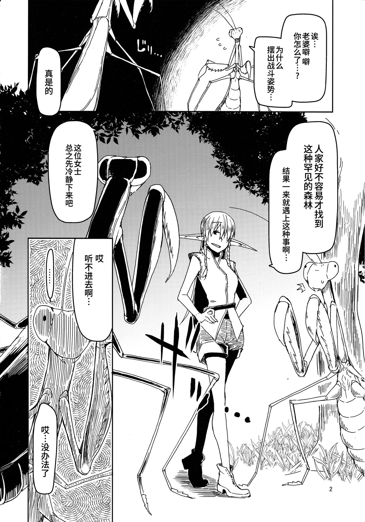 Dosukebe Elf no Ishukan Nikki 5 page 3 full