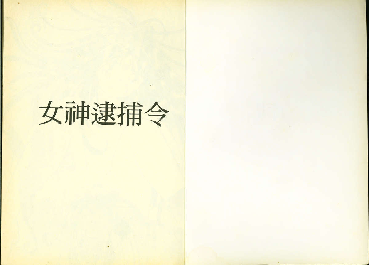 俏警花5 page 2 full