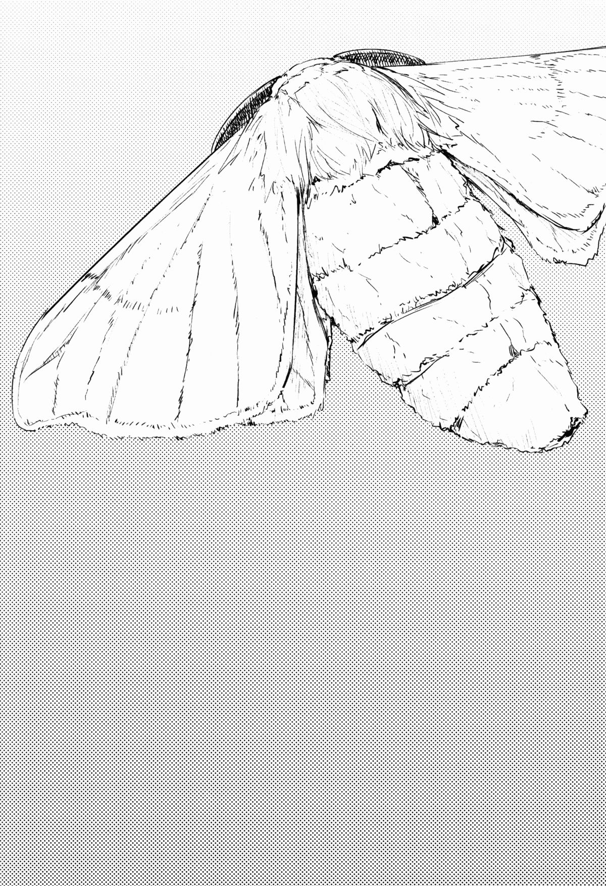 Shiragasane -Tamoto- page 4 full