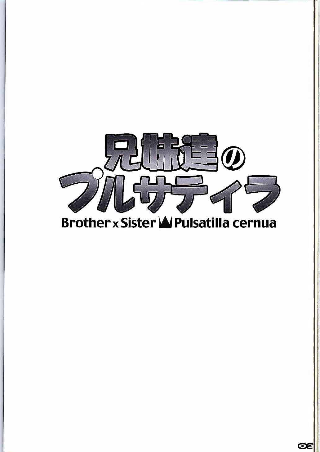 Kyoudai-tachi no Pulsatilla page 3 full