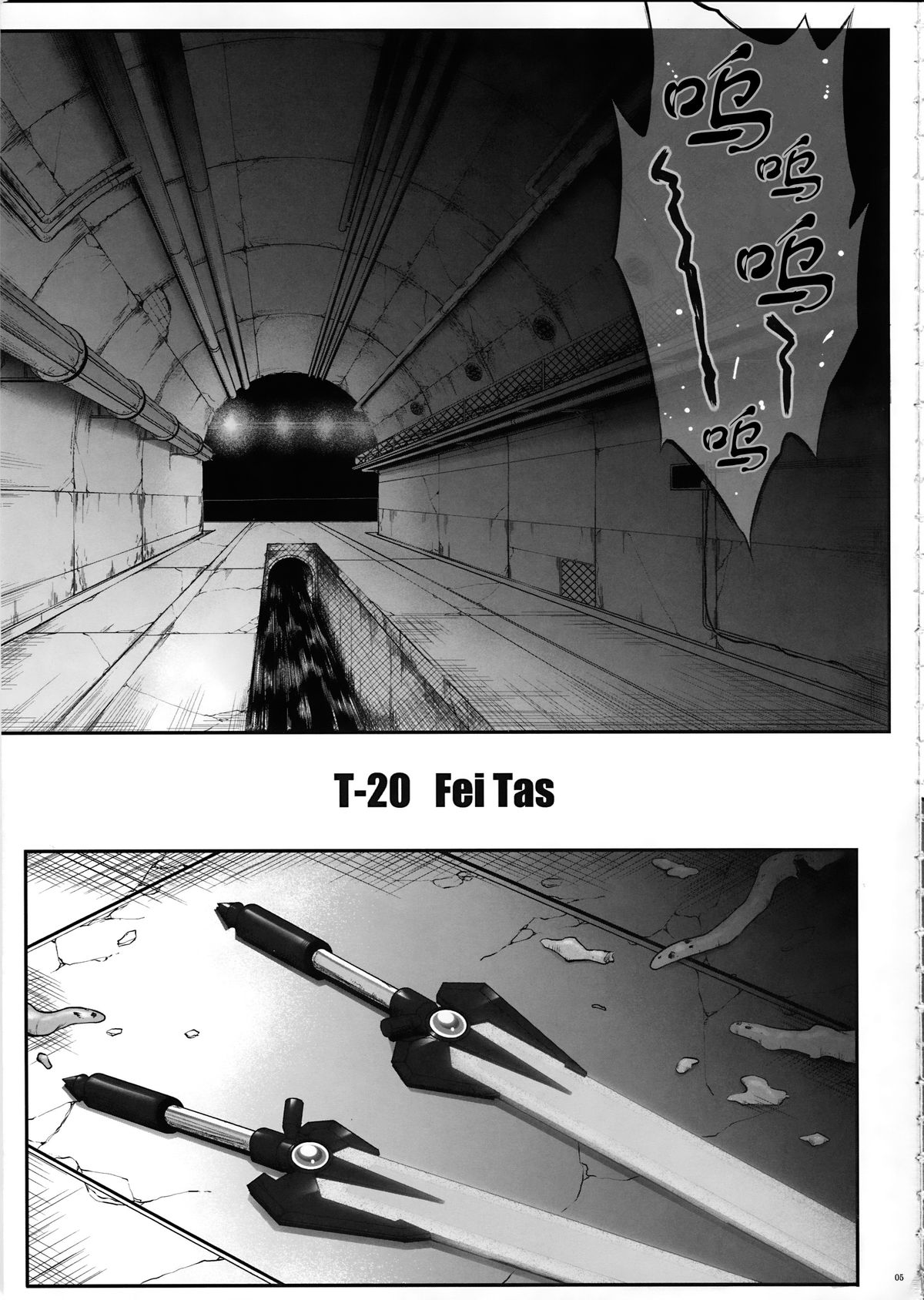 T-20 Fei Tas page 5 full