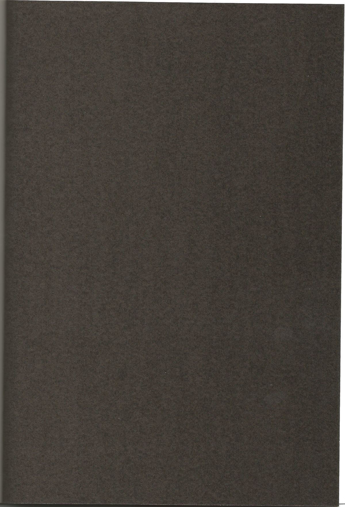 Touhou Innyuuen Sono Ni page 3 full