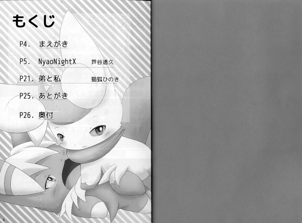 NyaoNightX page 2 full