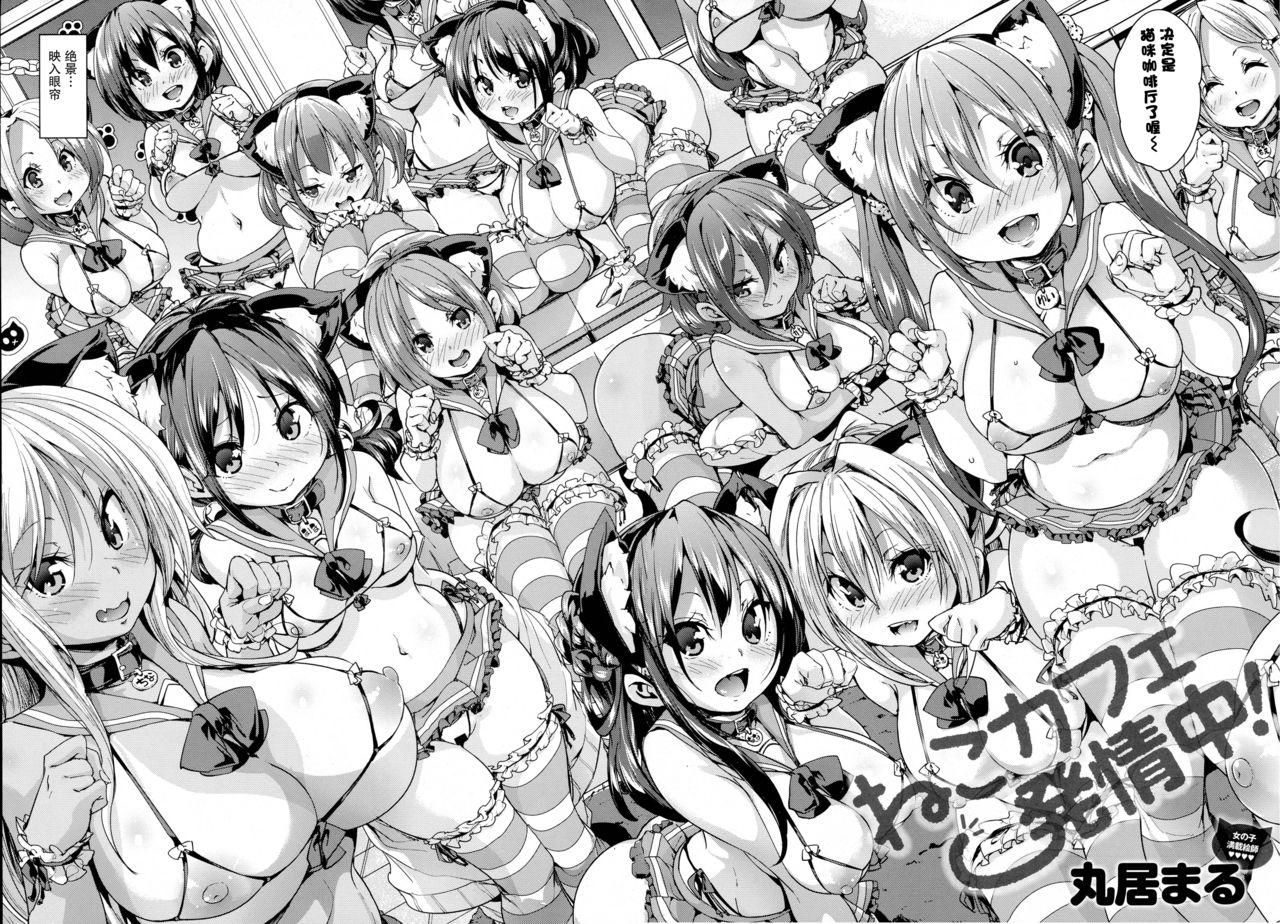 Neko Cafe Hatsujou Chuu! | 猫咪咖啡发情中 page 3 full