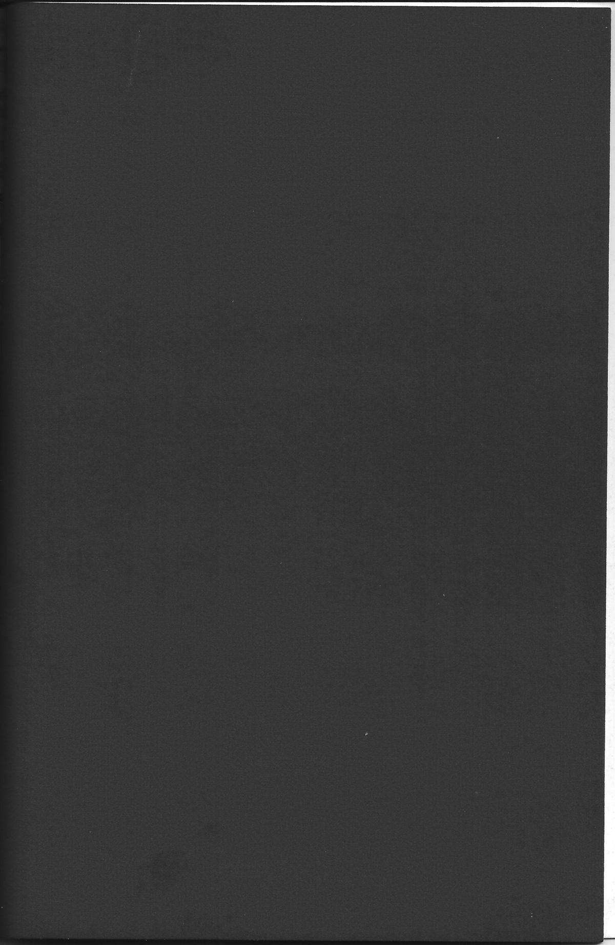 Touhou Nyuu Musou page 3 full