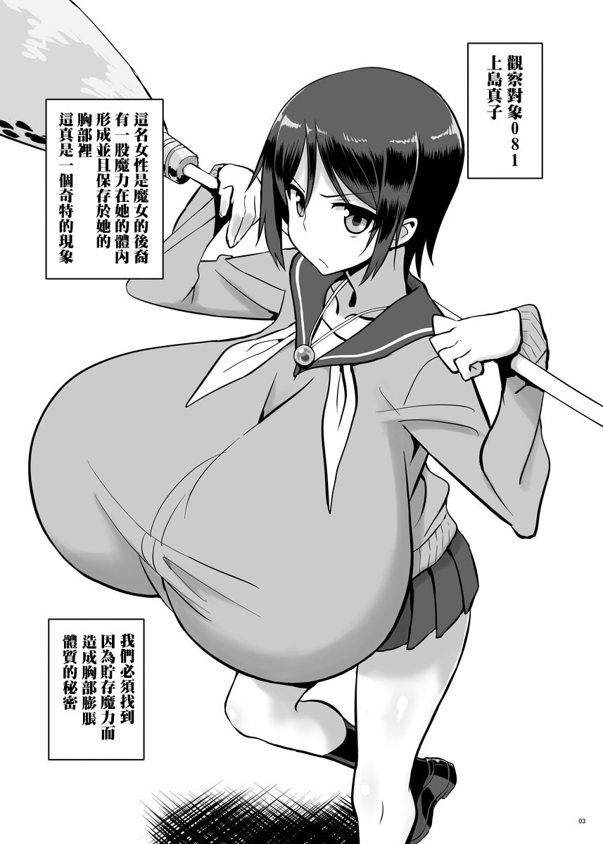 Zemuriya Report page 2 full