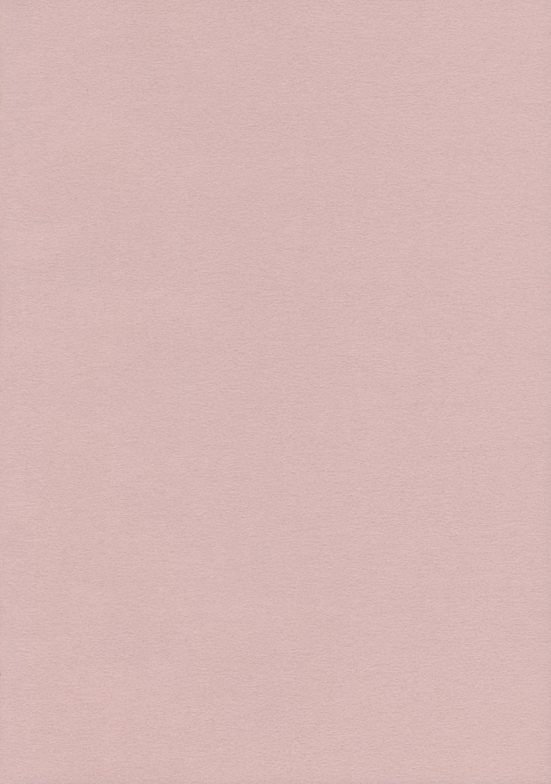 Lunchi Pack page 3 full