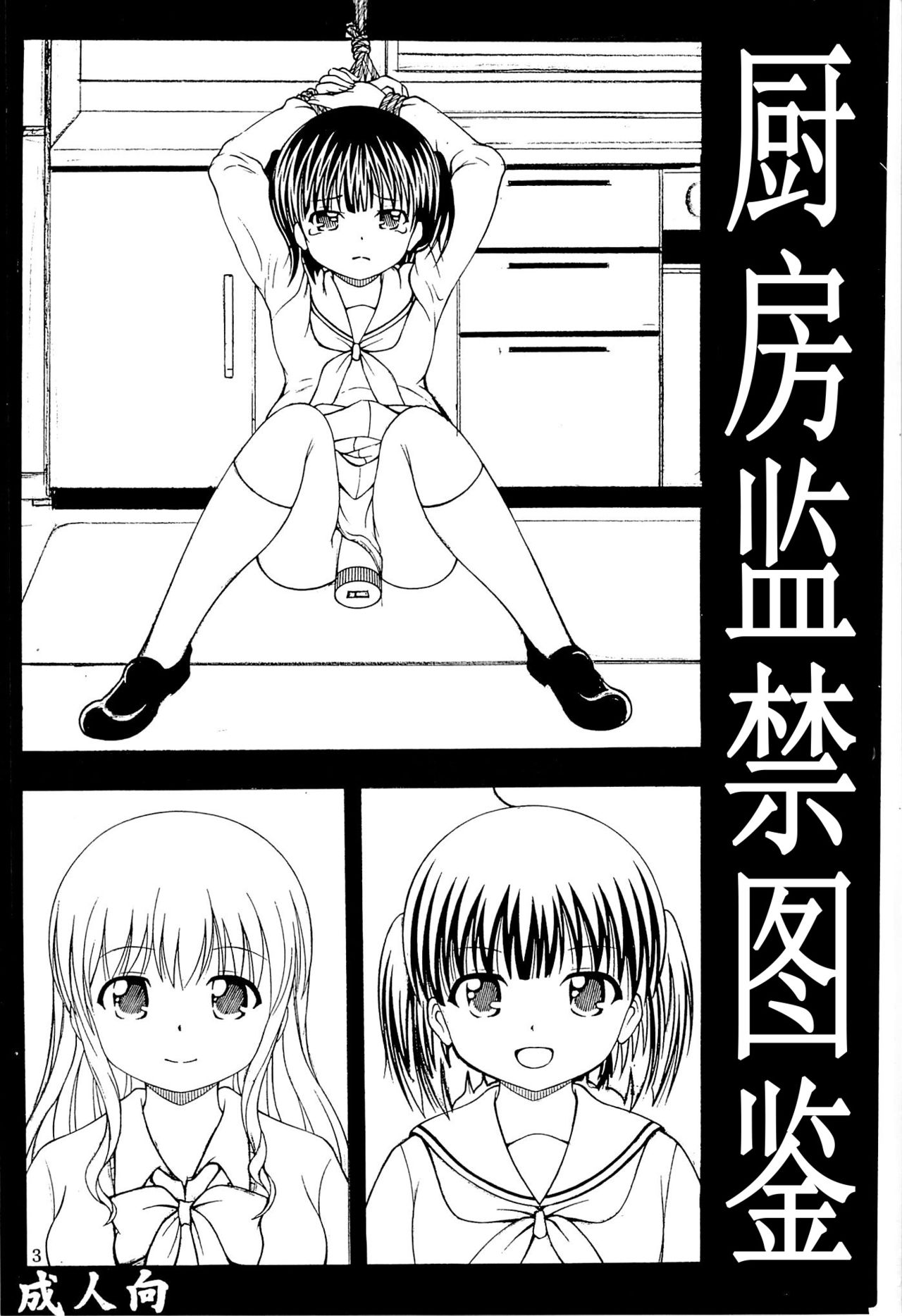 Chuubou Kankin Graph page 2 full