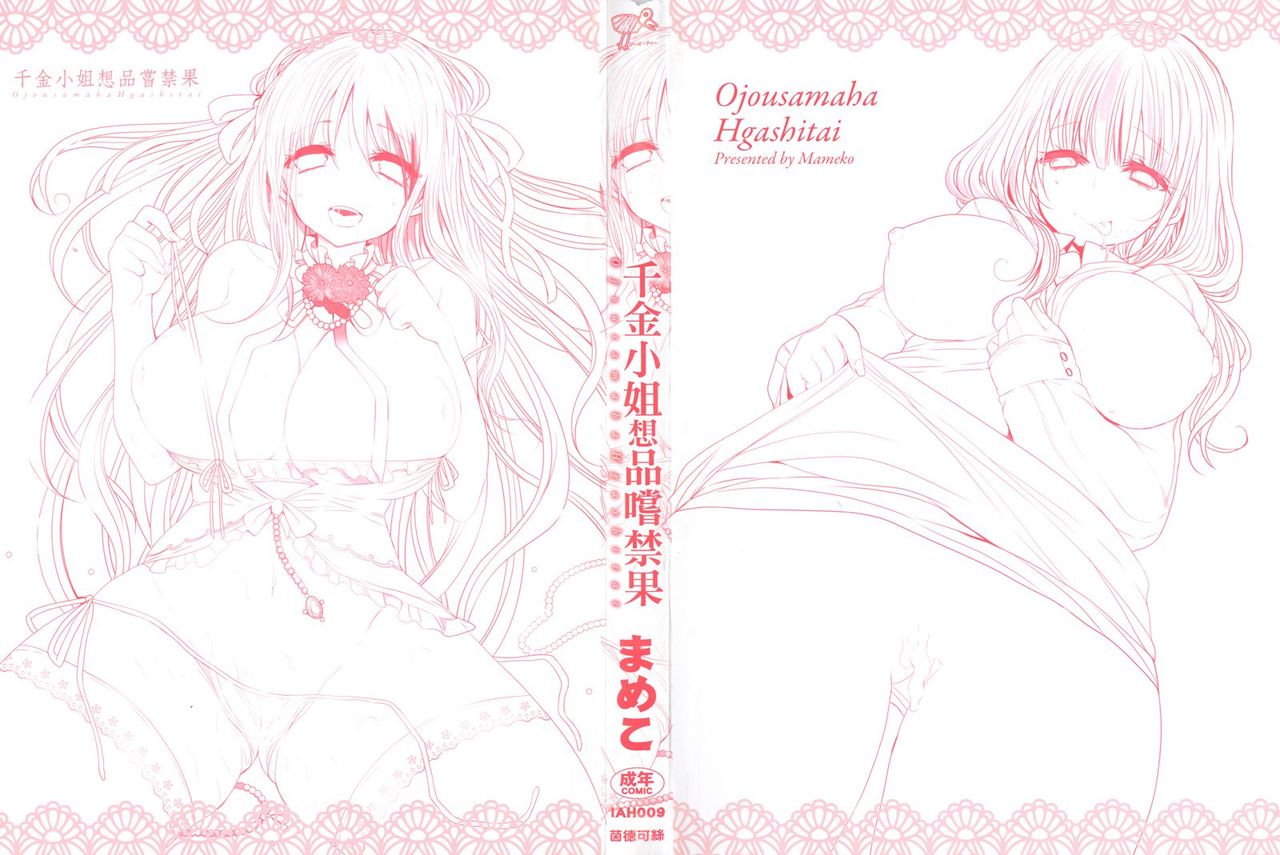 Ojousama ha H ga Shitai | 千金小姐想品嚐禁果 page 2 full