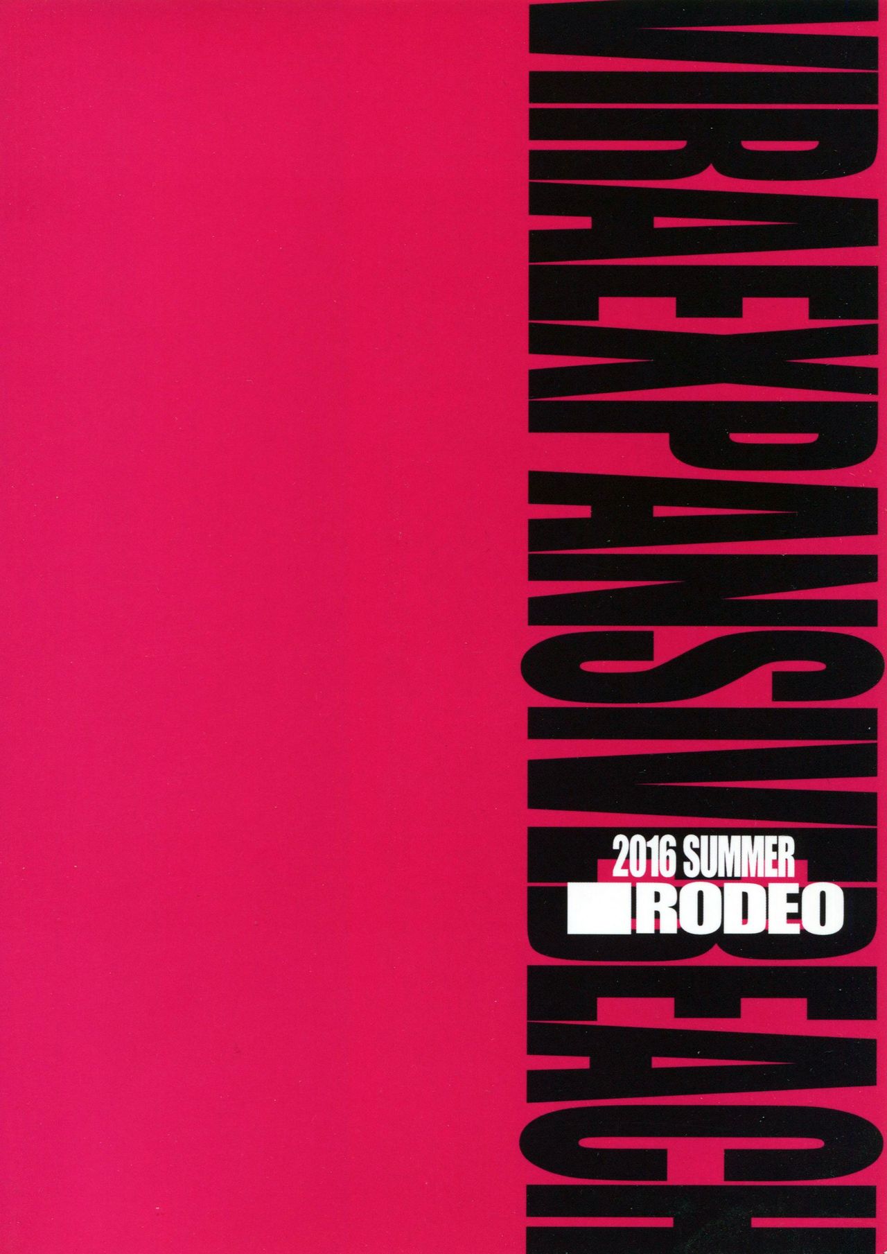 VIRAEXPANSIVEBEACH page 3 full