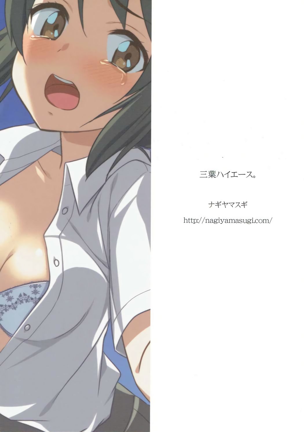 Mitsuha HiAce. page 2 full