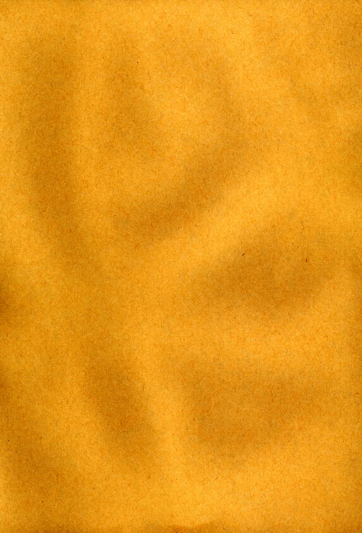 Kurokami no Sarasate - SARASATE ob Brunet hair. page 9 full