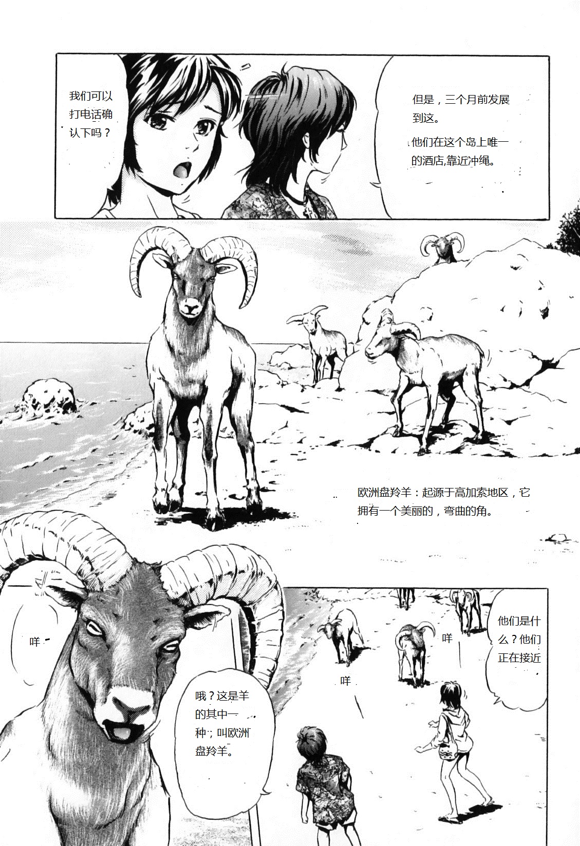 Nangoku no Mouflon | Mouflon of the South page 3 full