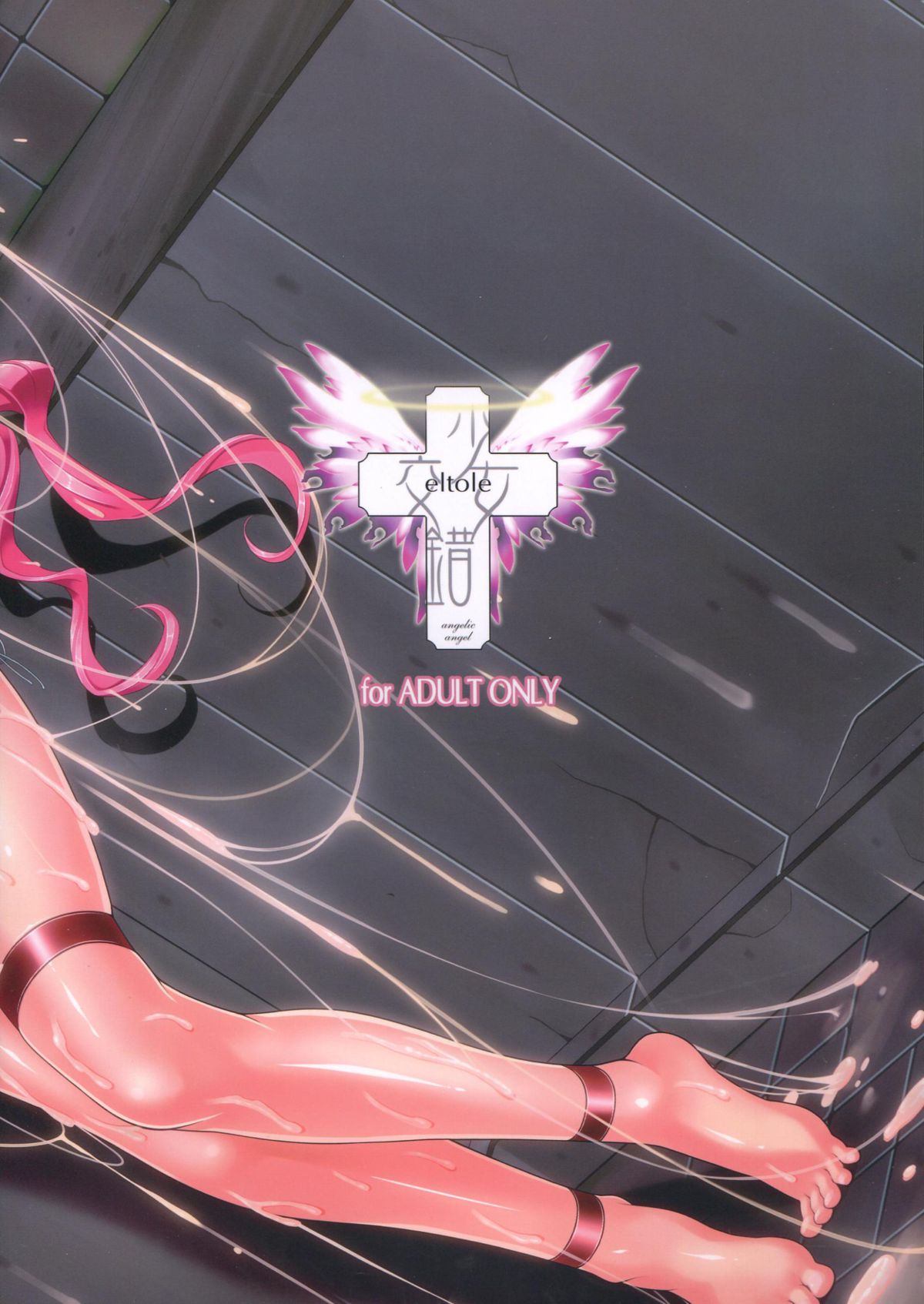 El toiu Shoujo no Monogatari X1 | Story of an Elf Girl X1 page 3 full