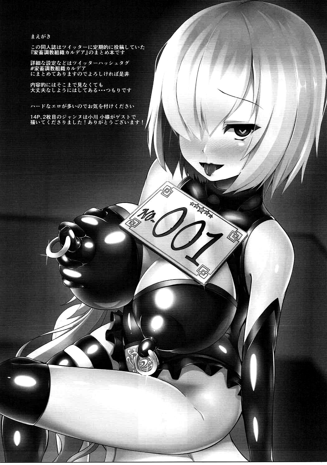 Kachiku Choukyou Soshiki CHALDEA page 2 full