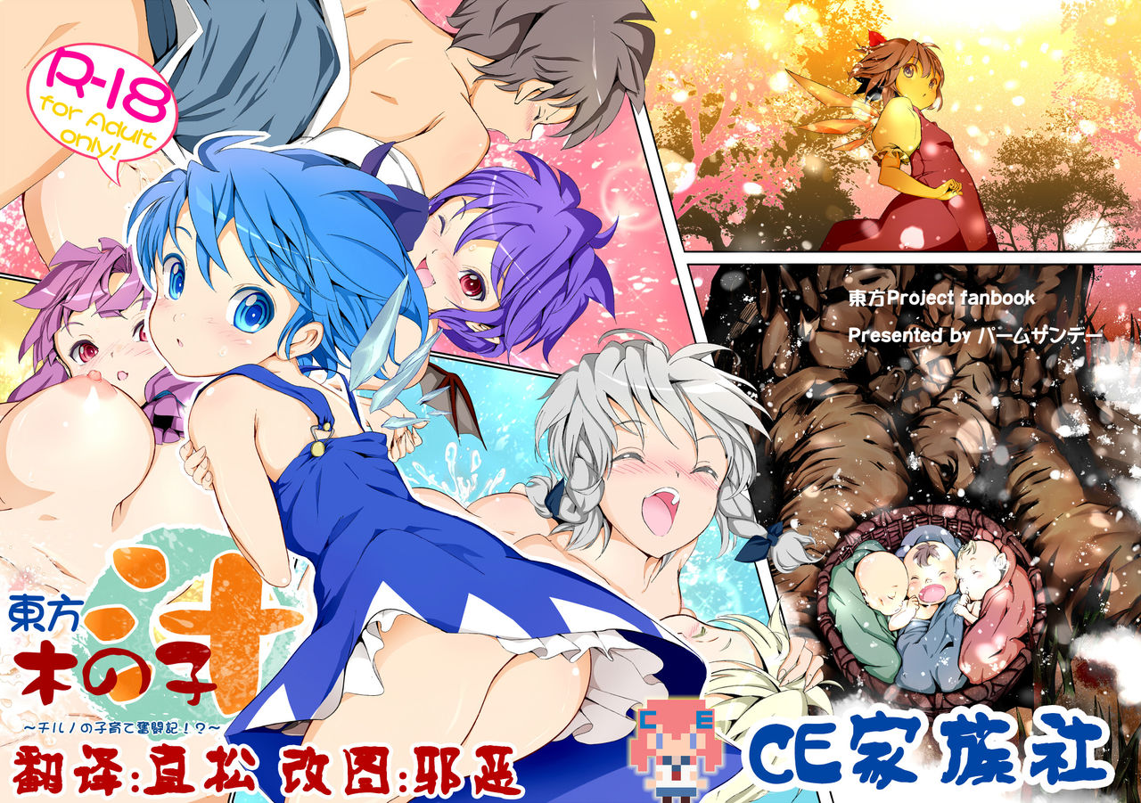 Touhou Kinoko-jiru ~ Cirno no Kosodate Funtouki!? ~ page 1 full