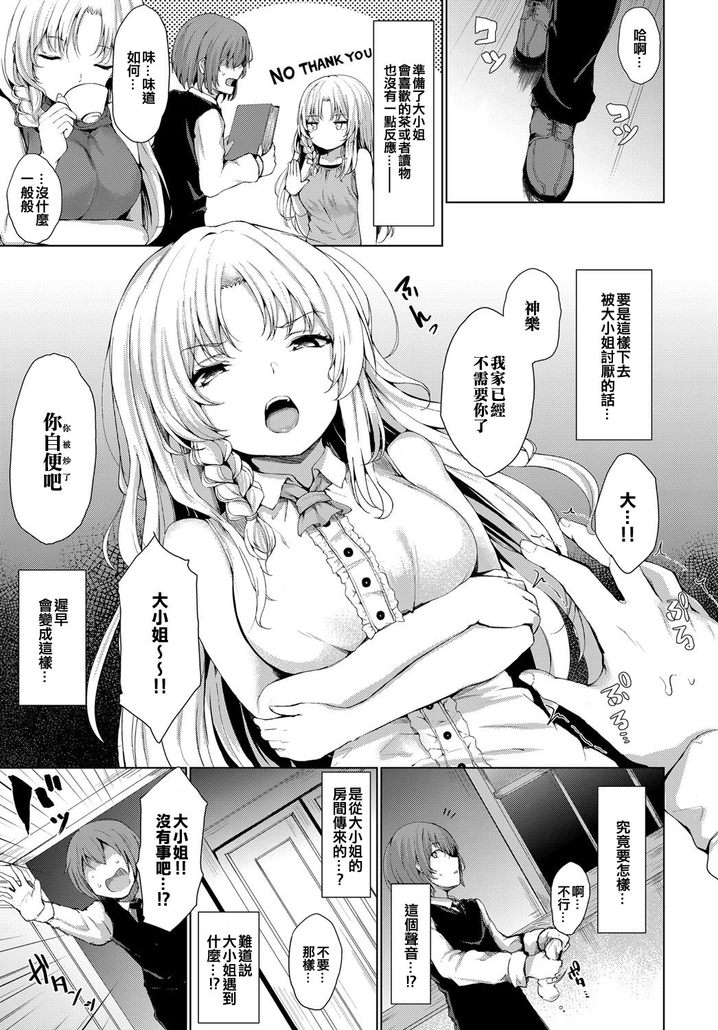 Ojousama no Himitsu | 大小姐的秘密 page 3 full