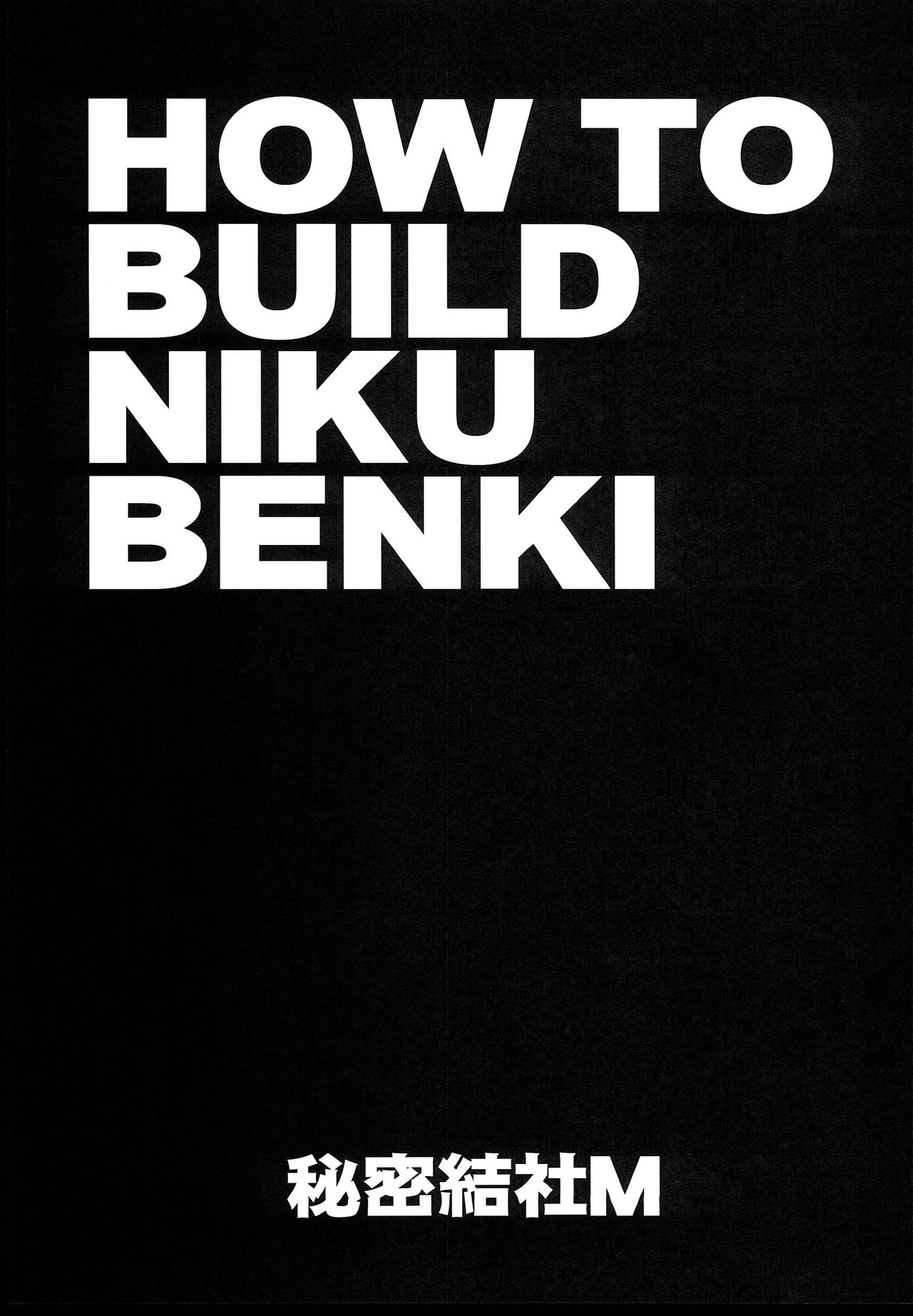 HOW TO BUILD NIKUBENKI page 2 full
