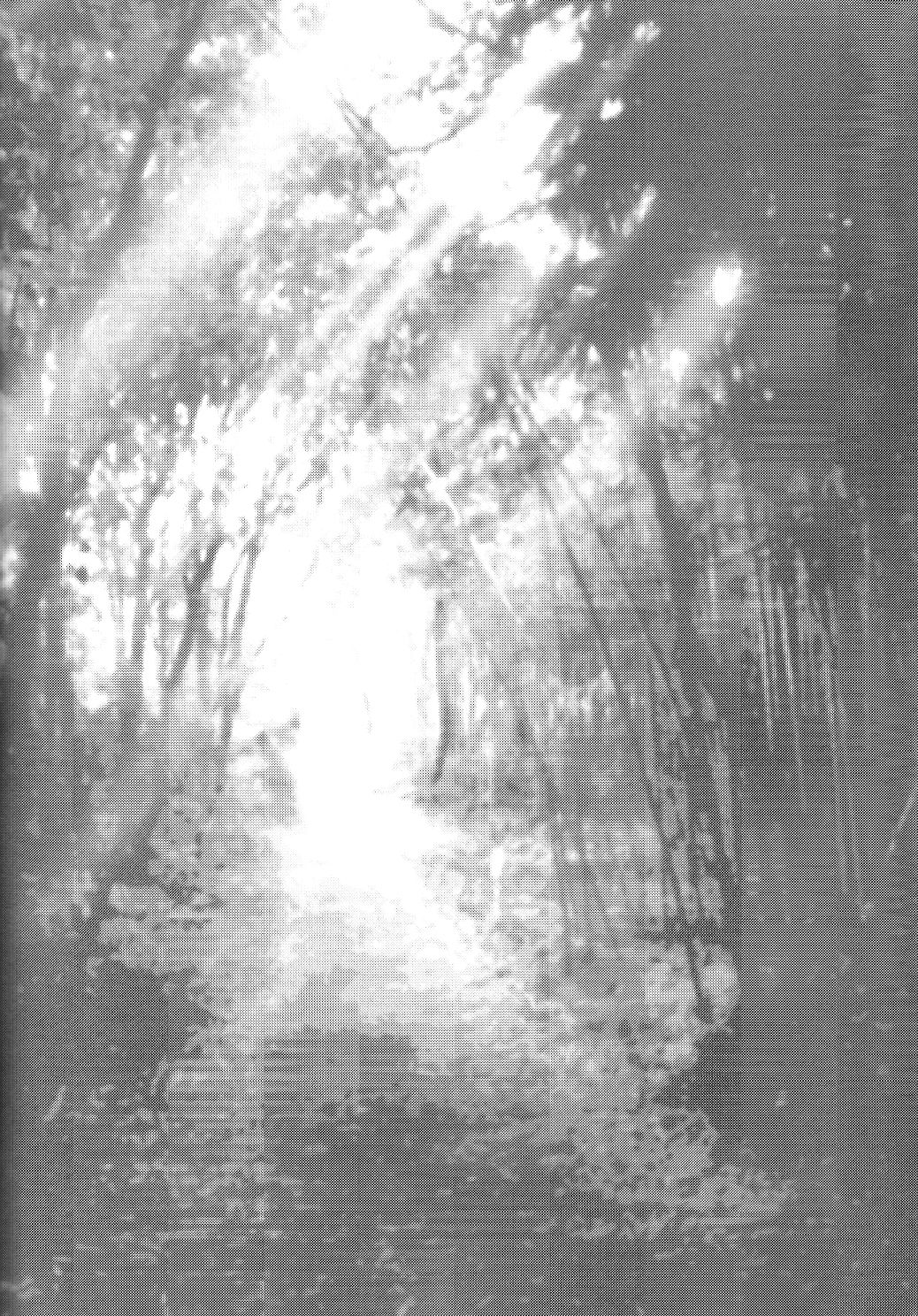 Yoru wa Mijikashi Koiseyo Shounen page 3 full