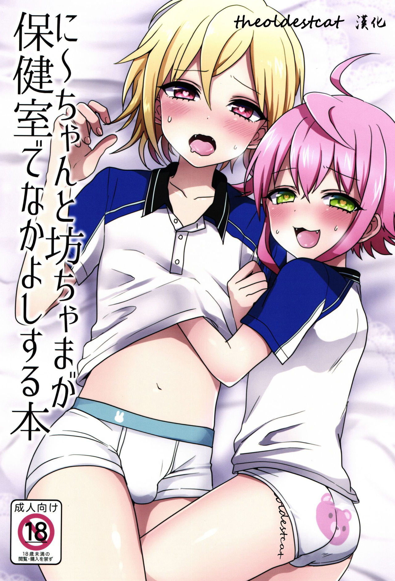 Ni~chan to Bouchama ga Hoken Shitsu de Nakayoshi Suru Hon page 1 full