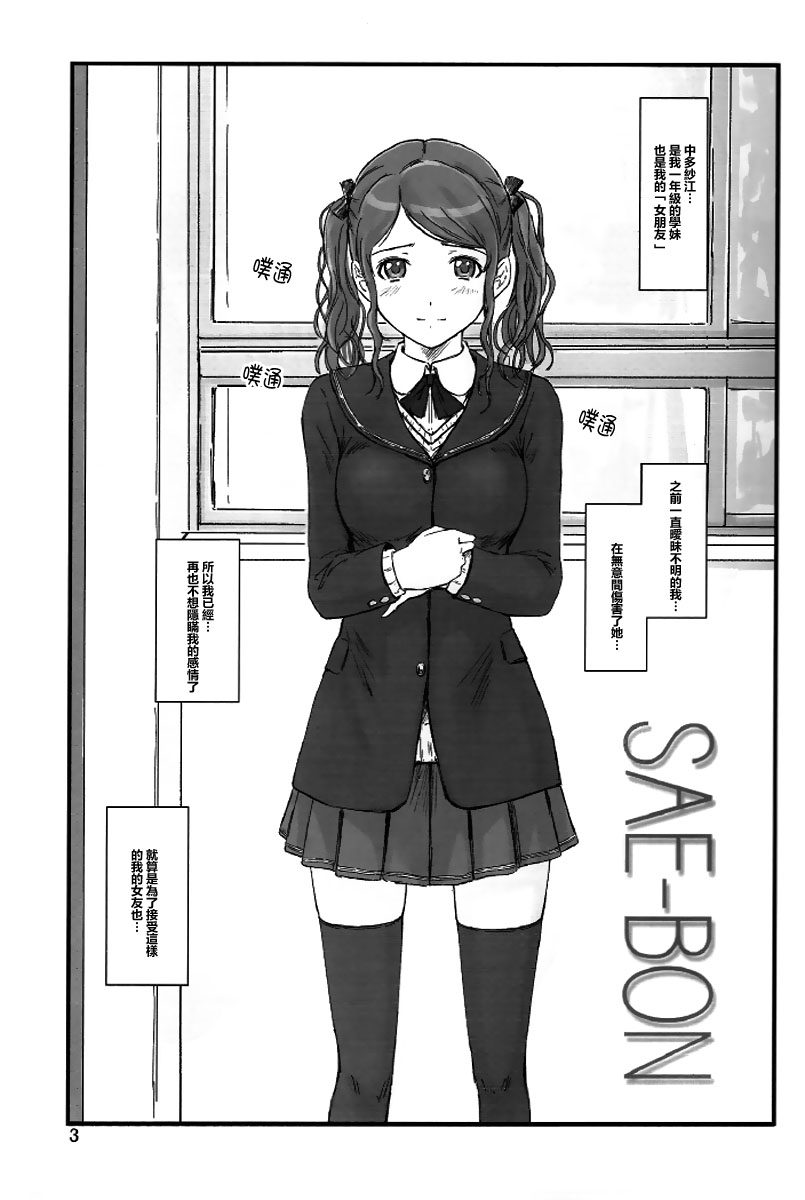 SAE-BON page 3 full