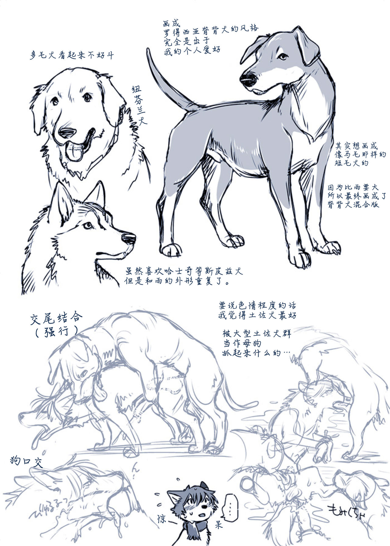 Aru Inu no Baai | 某只狗的视角 page 10 full