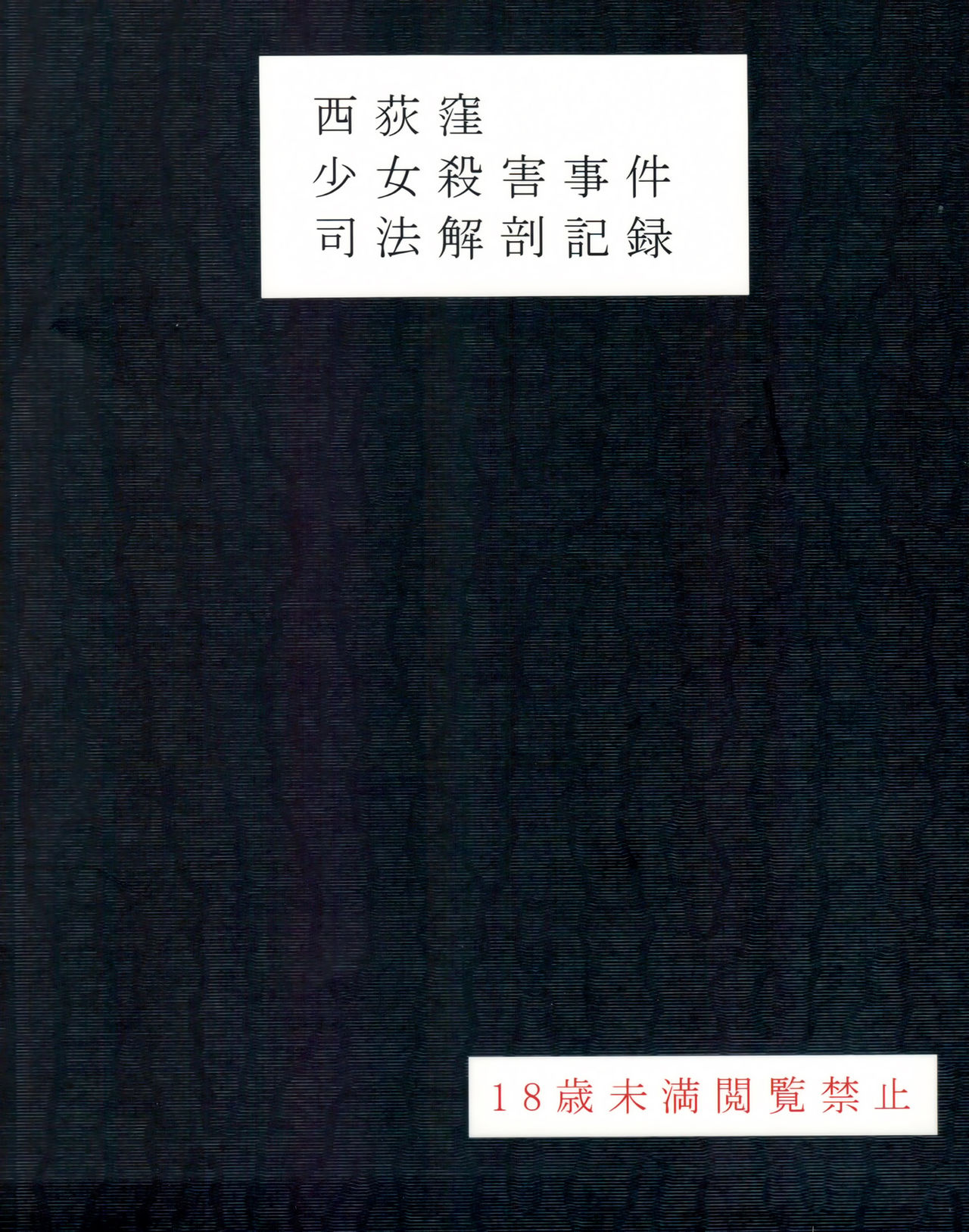 Nishiogikubo Shoujo Satsugai Jiken Shihou Kaibou Kiroku page 2 full