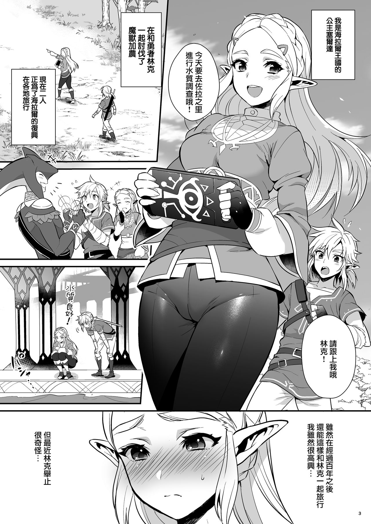 Hyrule Hanei no Tame no Katsudou! page 5 full