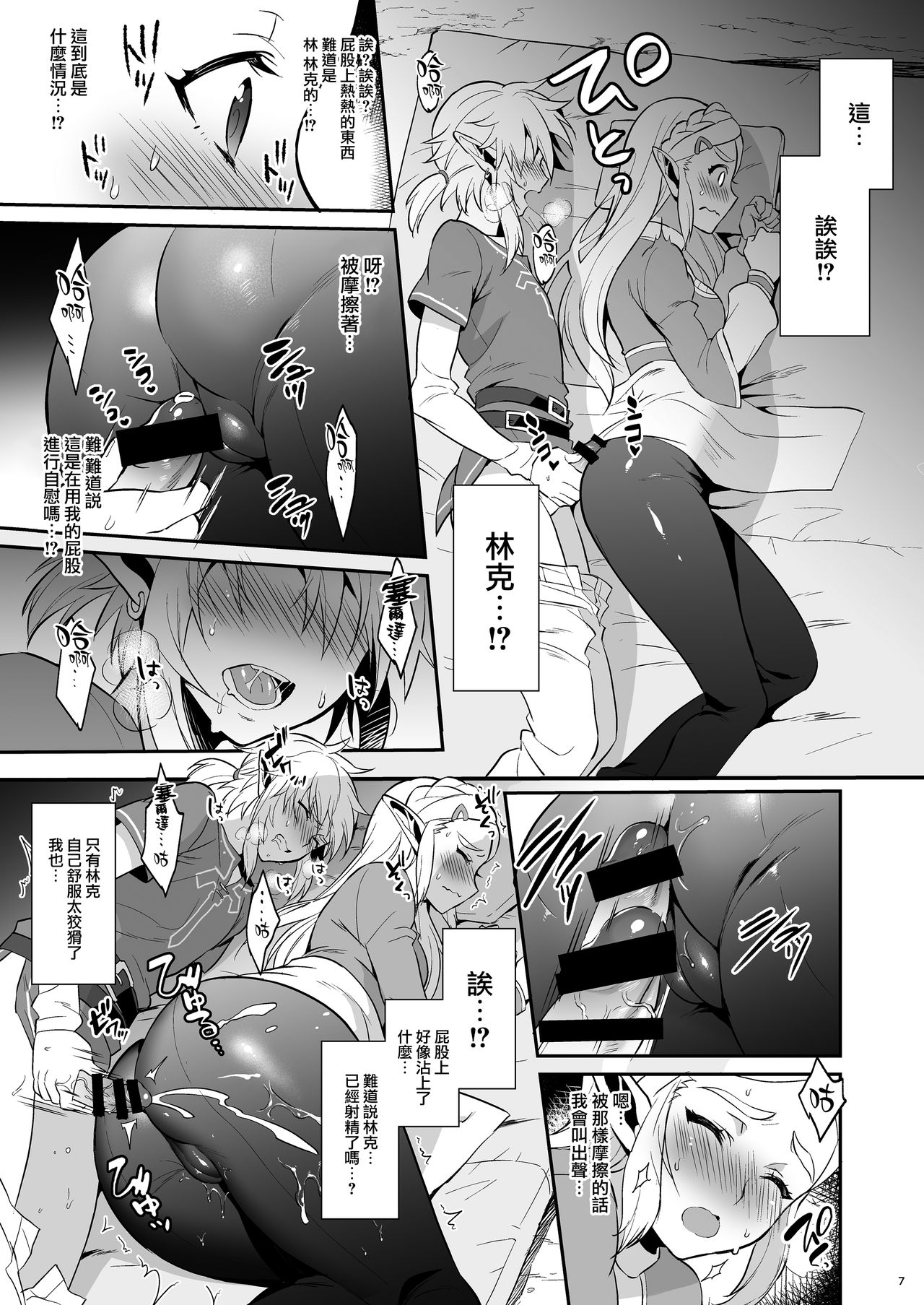 Hyrule Hanei no Tame no Katsudou! page 9 full