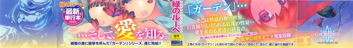 Garden II page 3 full