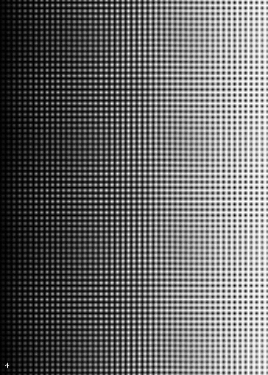 SokuHame Bitchinpo page 4 full