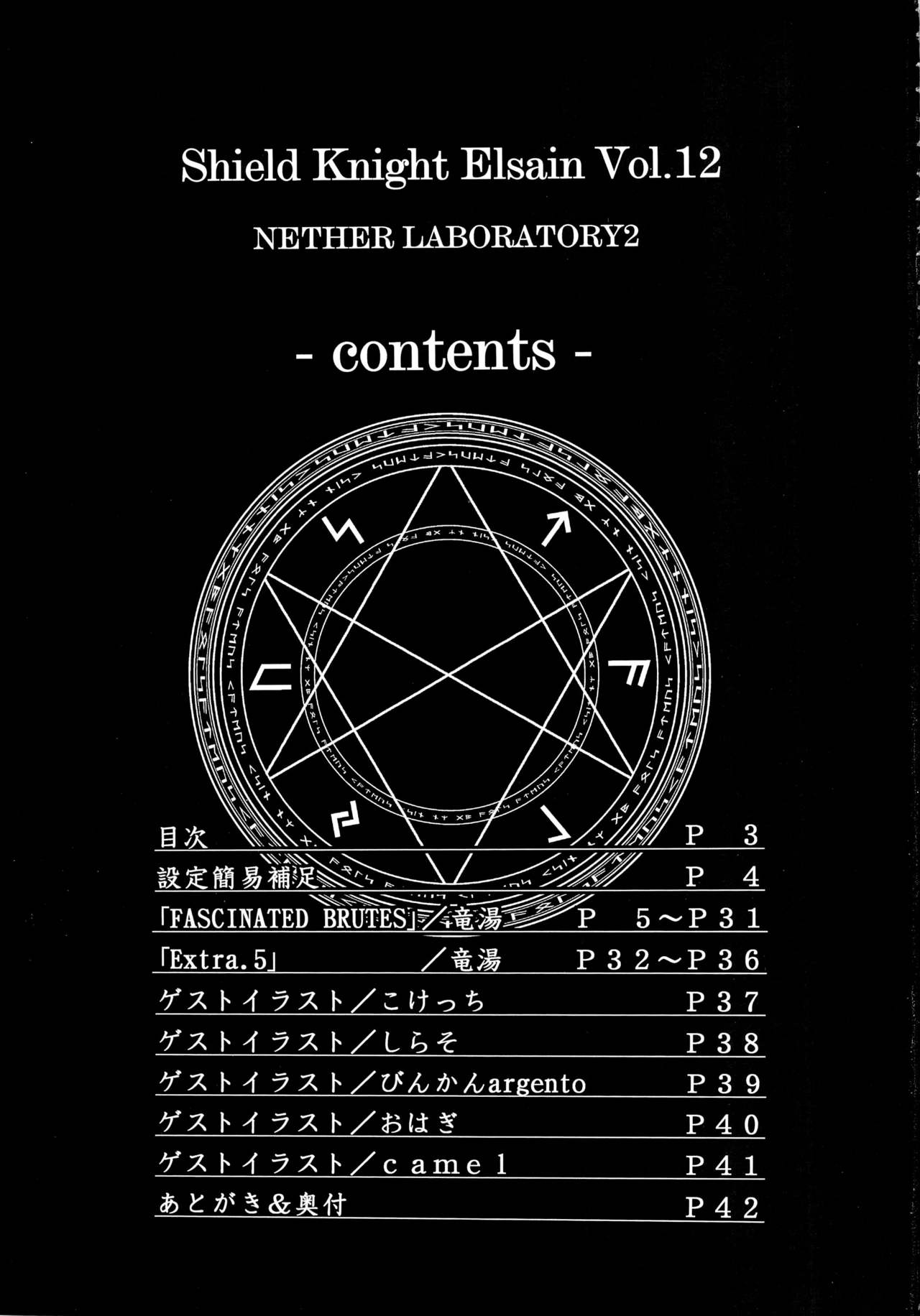 Shield Knight Elsain Vol. 10 page 2 full