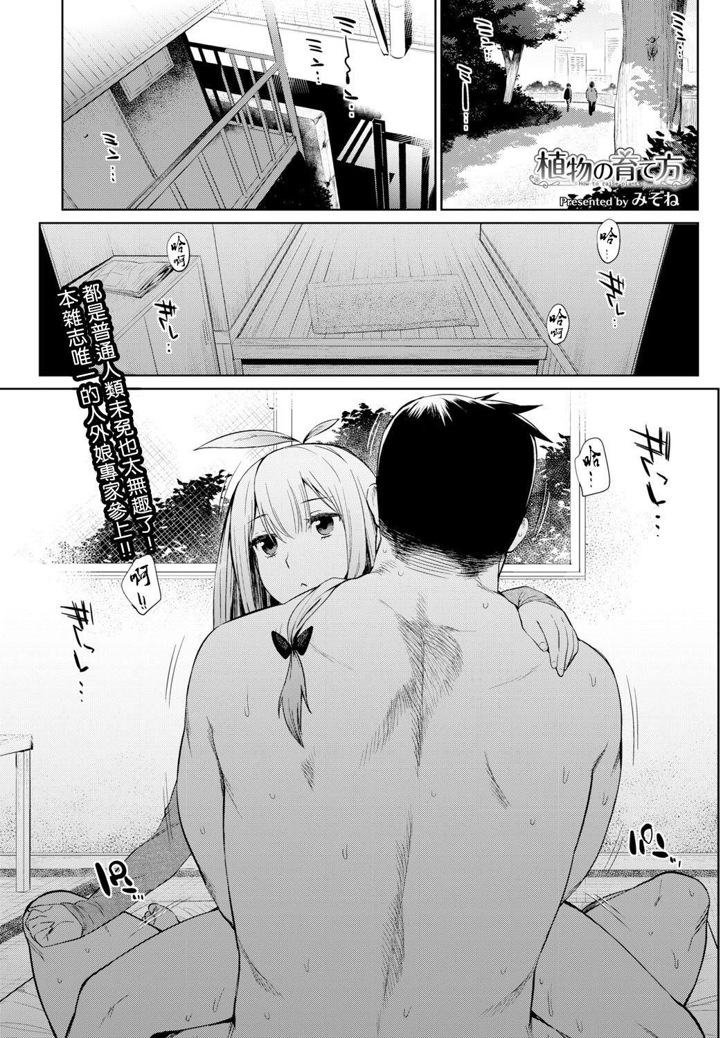 Shokubutsu no Sodatekata page 2 full