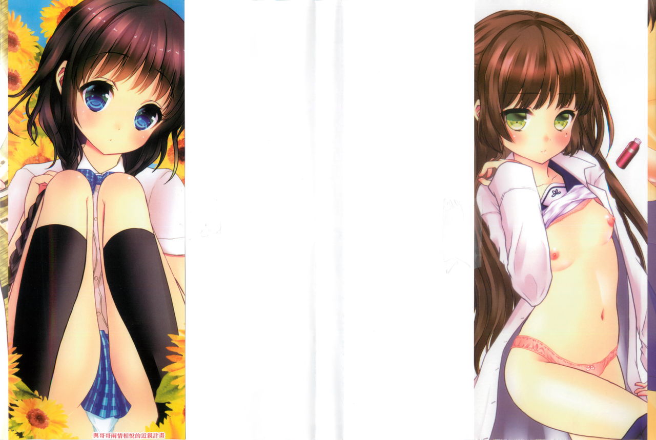 Onii-chan to Akarui Kinshin Keikaku | 與哥哥兩情相悅的近親計畫 page 2 full