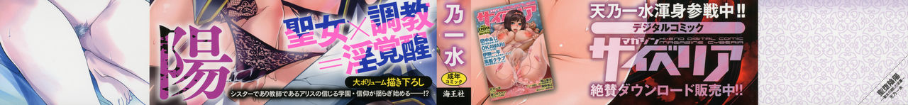 Seida Inyou -Seijo no Katachi Shita Intou- | 聖墮陰陽 -聖女的容貌與淫蕩- page 3 full