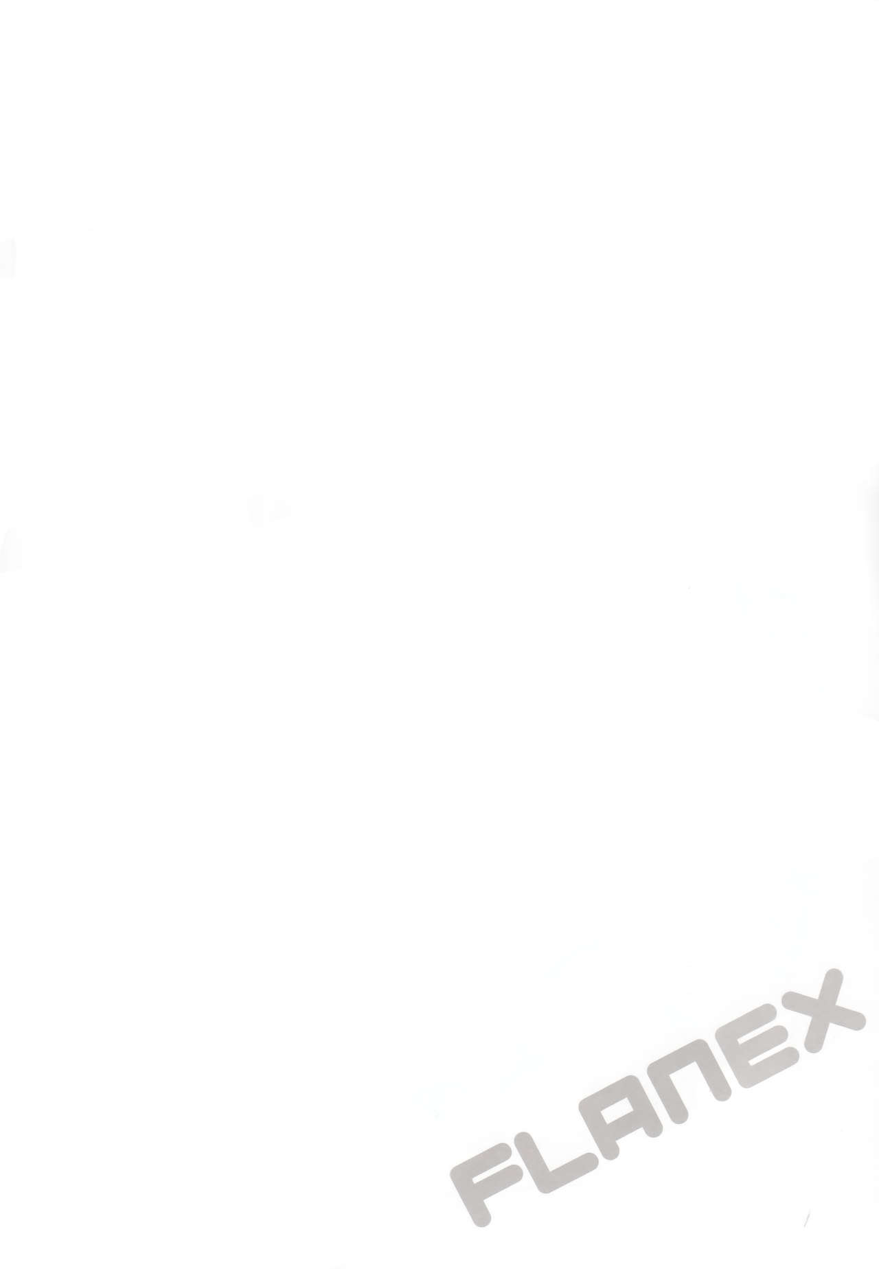 FLANEX page 3 full