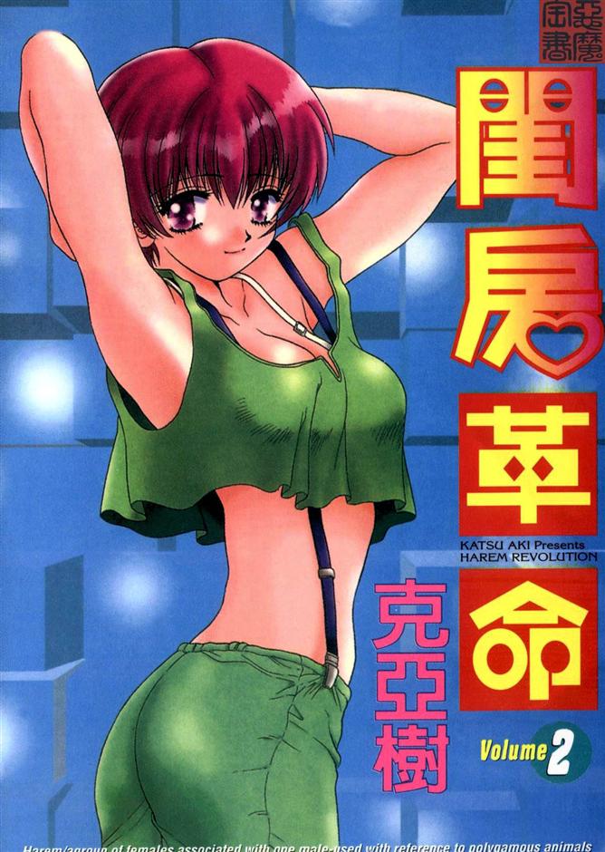 Harem Kakumei 2 | 閨房革命2 page 1 full