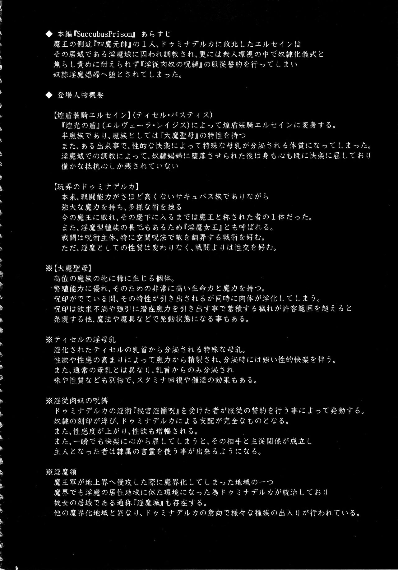 Shield Knight Elsain Vol. 15 Succubus Prison page 3 full