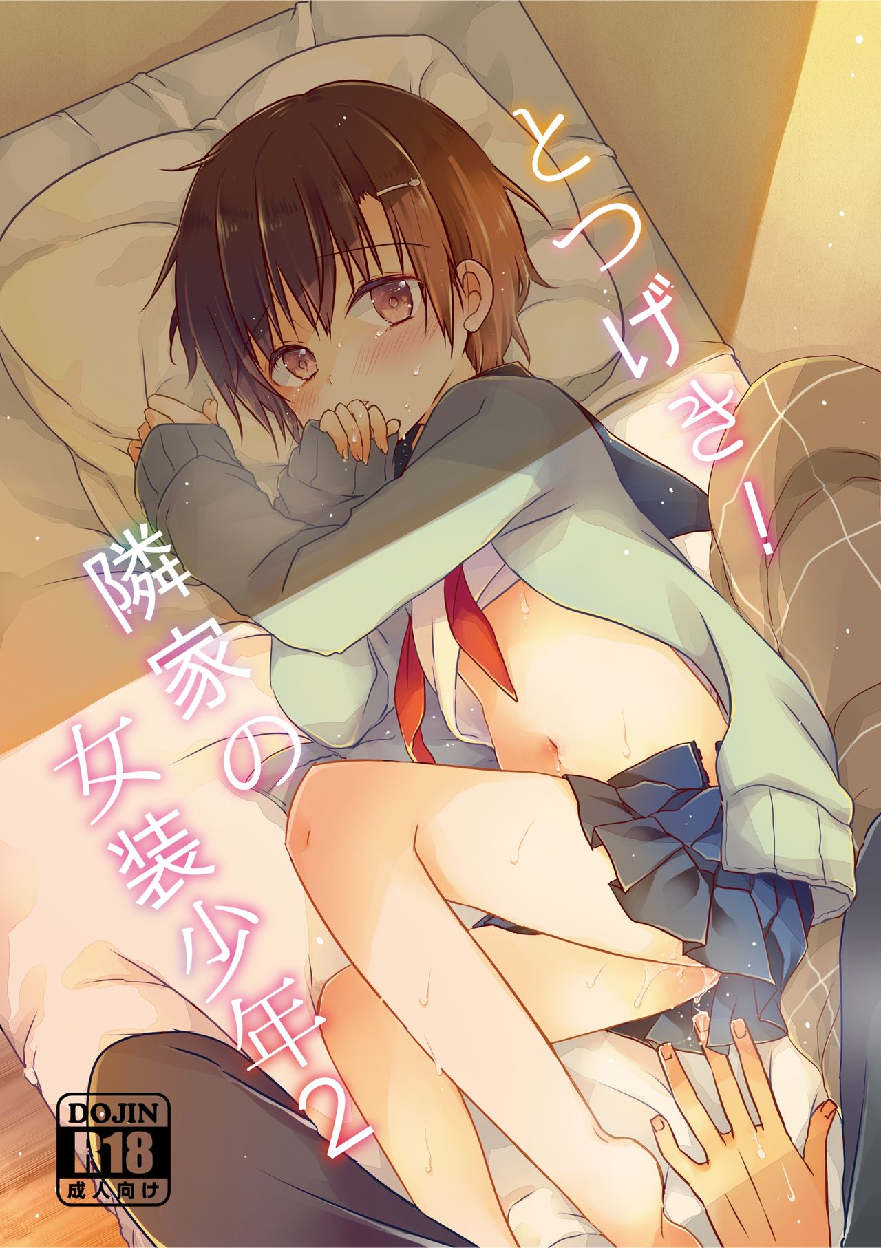 Totsugeki! Rinka no Josou Shounen 2 page 2 full